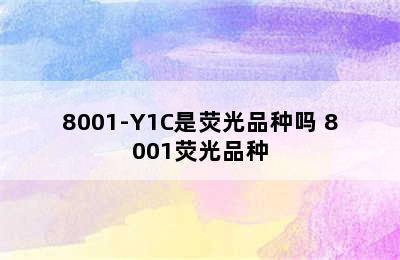 8001-Y1C是荧光品种吗 8001荧光品种